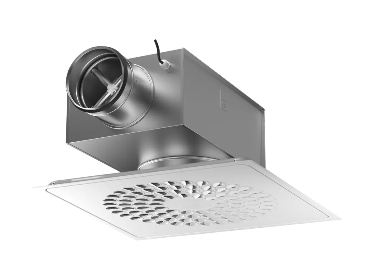 COLIBRI Ceiling VF