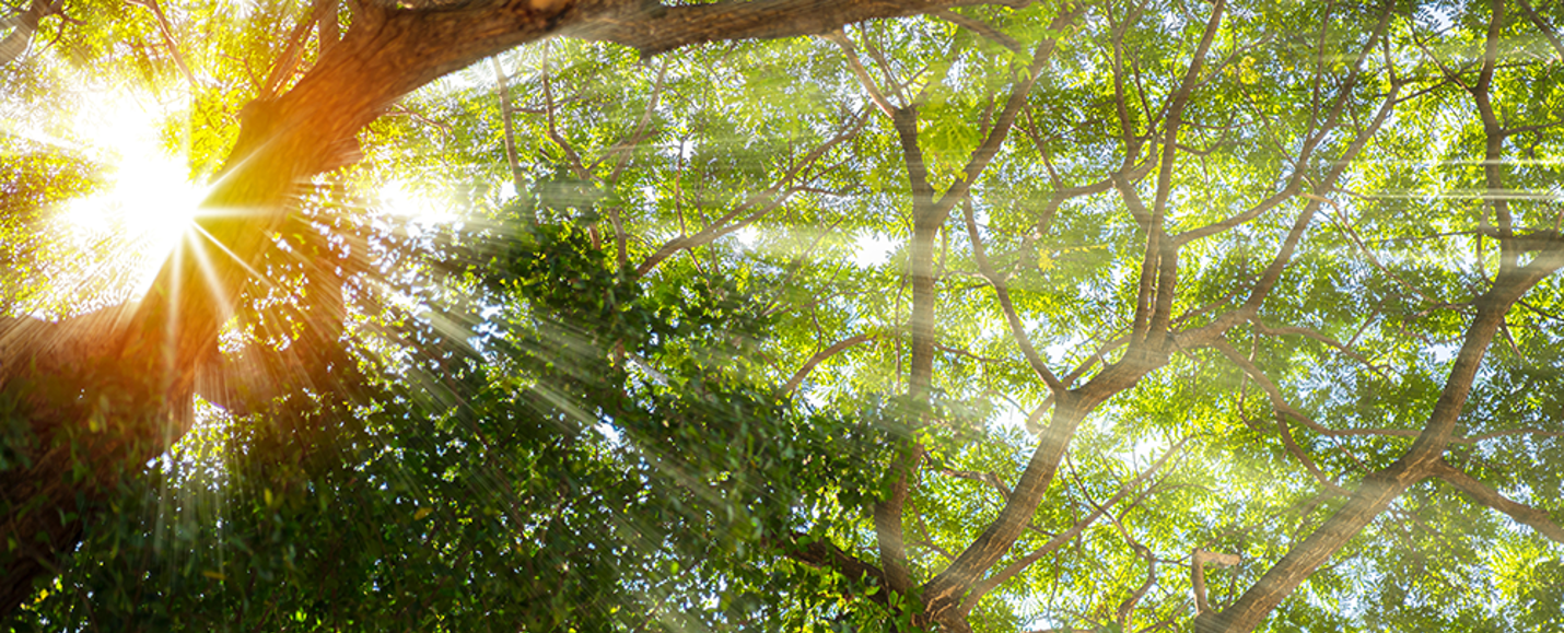 Hållbarhet på Swegon