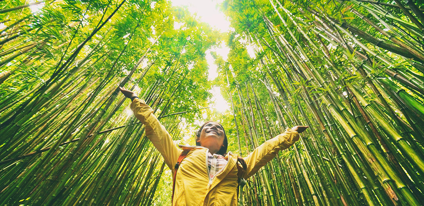 Sustainability