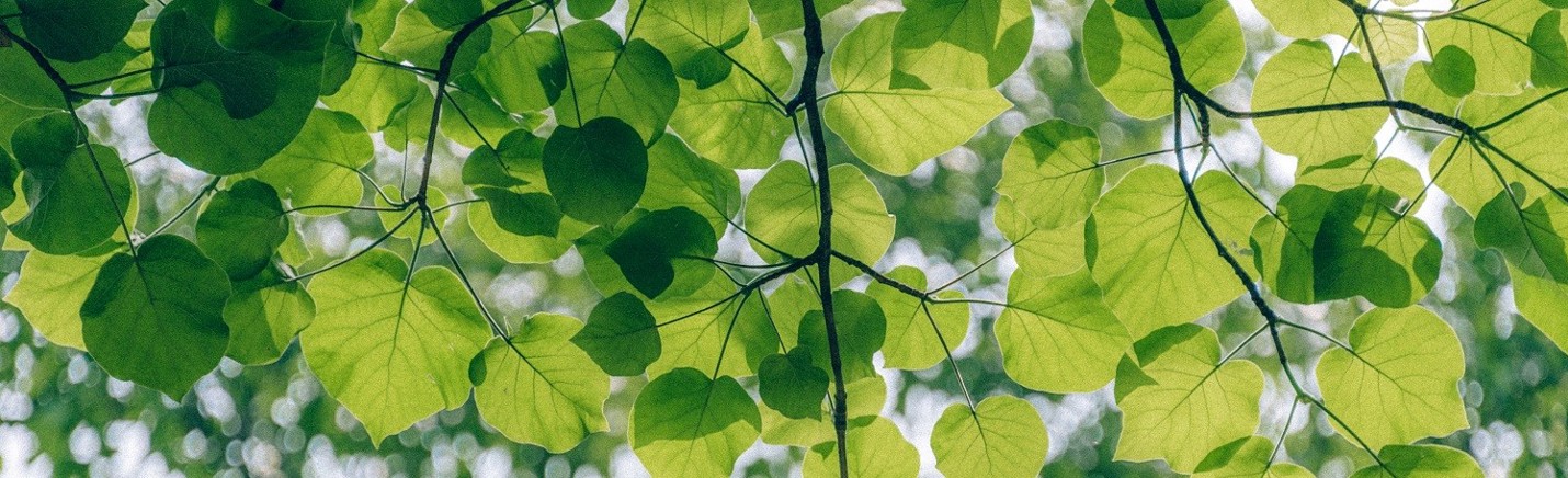 Swegon Future Solutions