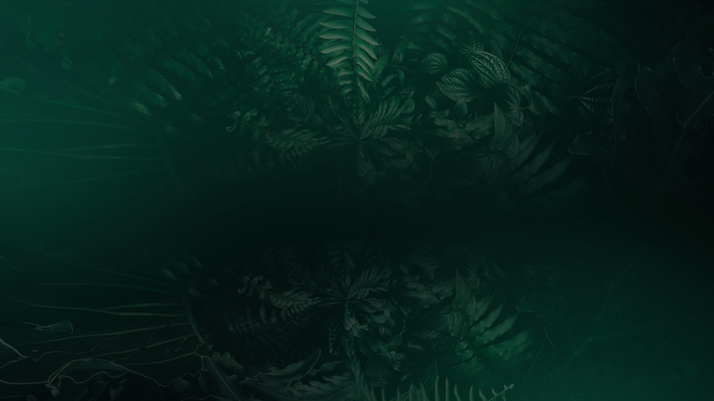 Mission Zero Launch Events