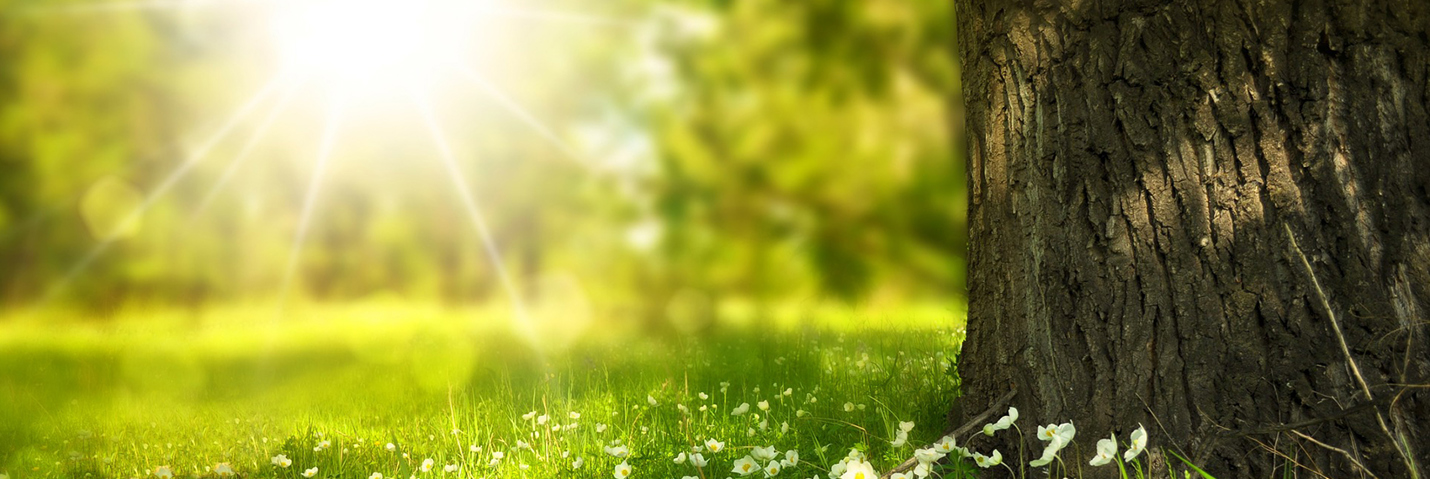 Sommaröppet på Swegon